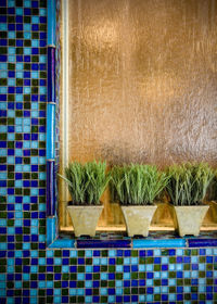 High angle view of potted plants on floor against wall