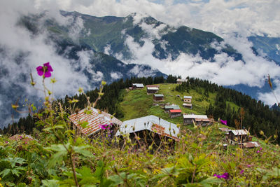 Beautiful mountain landscape in summer on the black sea coast of turkey near the city of trabzon