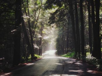 Road amidst trees in forest