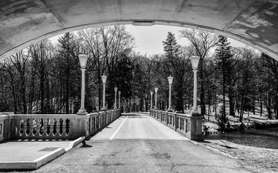 Empty road amidst trees against sky in city