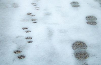 High angle view of snow on field