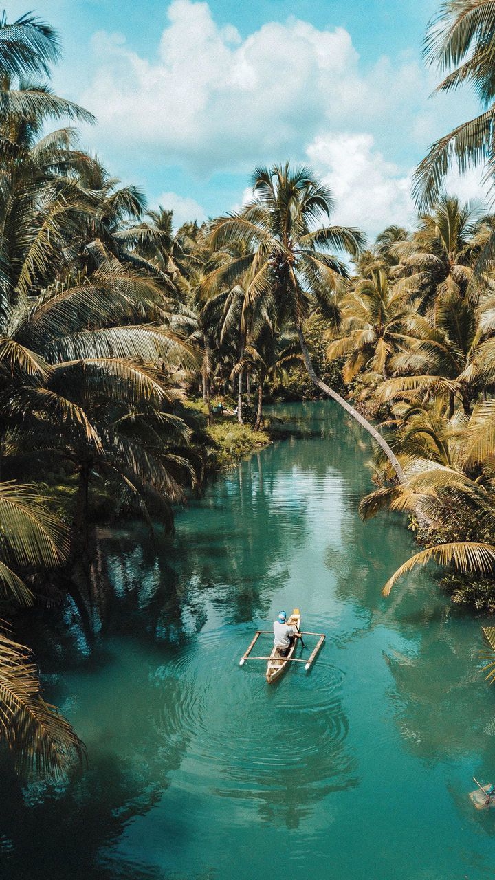 water, nature, beauty in nature, tropical climate, plant, tree, real people, waterfront, sky, day, nautical vessel, cloud - sky, leisure activity, sea, lifestyles, mode of transportation, transportation, one person, palm tree, outdoors