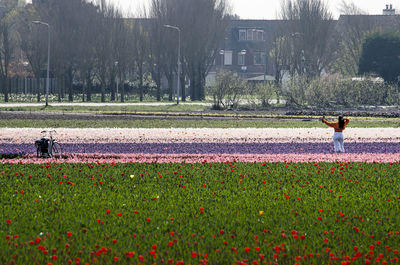 Rear view of man standing on field