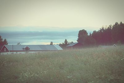 Trees on field against sky