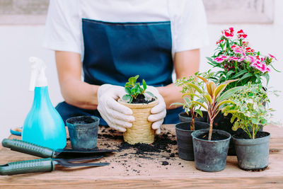 Midsection of person holding potted plant on table