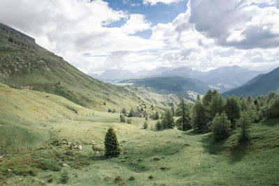 Scenic view of landscape against sky