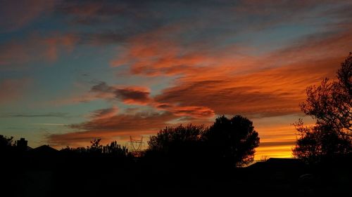 Silhouette of trees at sunset