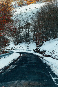 Snow covered road amidst trees