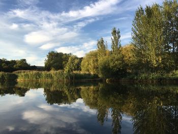 Reflection of trees in calm lake