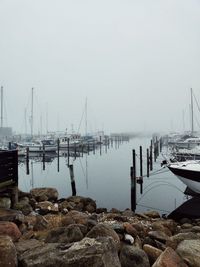 Sailboats moored in harbor