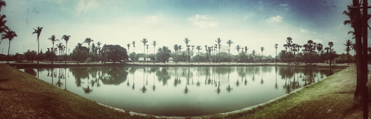 reflection, water, sky, tree, tranquility, lake, tranquil scene, scenics, palm tree, cloud - sky, beauty in nature, panoramic, nature, cloud, standing water, idyllic, growth, calm, outdoors, waterfront