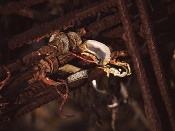 Close-up of rope tied to rusty metal