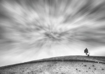 Low angle view of horse against sky