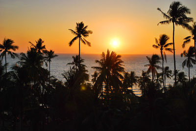 Silhouette palm trees by sea against romantic sky at sunset