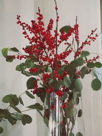 Close-up of red flowering plant against wall