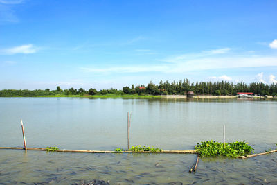 Scenic view of lake against blue sky