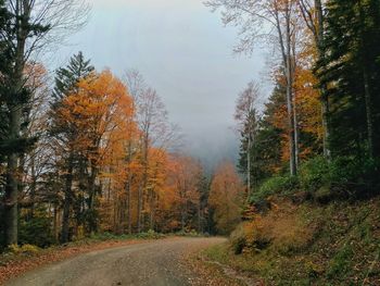 Road amidst trees in forest during autumn