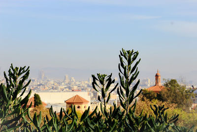 Plants and trees against buildings in city against clear sky