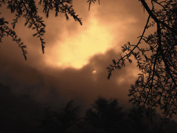 Silhouette trees against sky during sunset