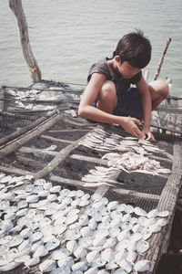 Boy drying fishes on wire mesh