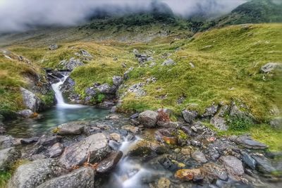 Scenic view of stream flowing through rocks