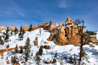 Snow covered trees against sky