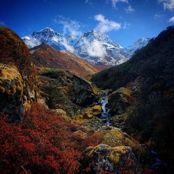 Scenic view of mountains