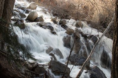 Scenic view of waterfall in forest