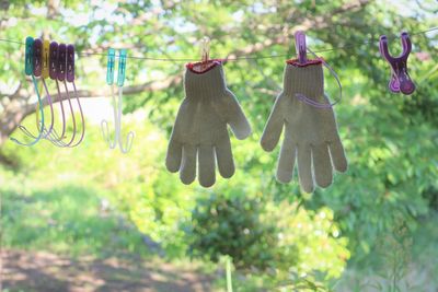 Close-up of laundry with gloves on laundry line in garden