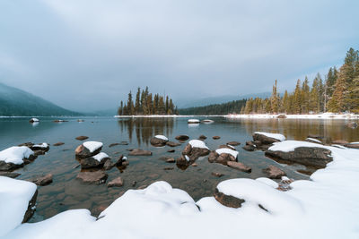 Ducks floating on lake during winter