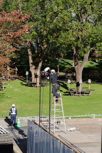 Rear view of people working on plants