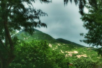 Scenic view of mountain against sky