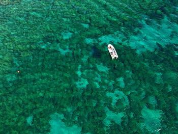 High angle view of single fishing boat swimming in sea