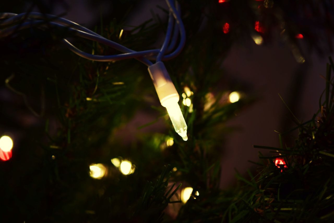 illuminated, christmas, night, decoration, tree, holiday, christmas decoration, christmas tree, lighting equipment, celebration, christmas lights, no people, plant, selective focus, close-up, focus on foreground, nature, glowing, light, christmas ornament