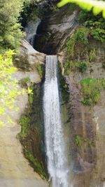 Scenic view of waterfall in forest