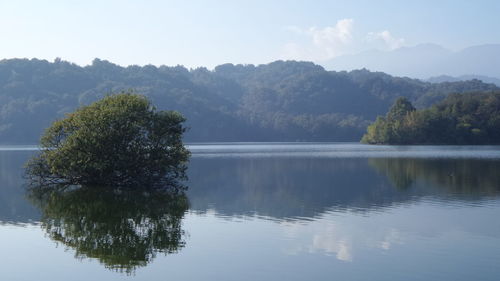 Reflection of trees in lake against sky