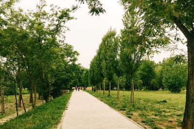 Footpath on grassy field against sky