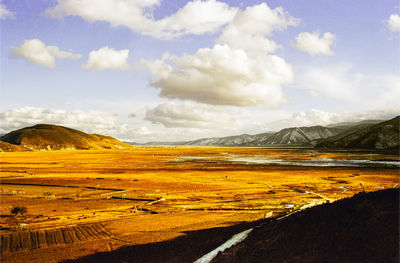 Scenic view of field against sky