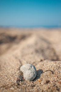 Surface level of sandy beach