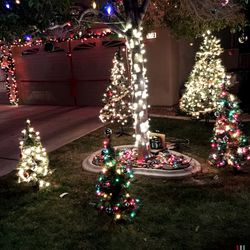 Illuminated christmas tree at night