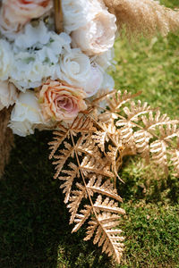 Close-up of flowers