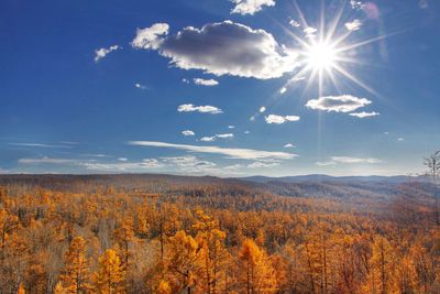 Scenic view of bright sun over land