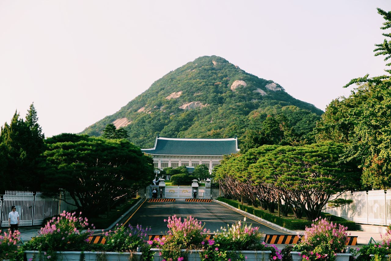 tree, clear sky, architecture, built structure, mountain, growth, building exterior, green color, plant, incidental people, day, nature, lush foliage, sky, outdoors, green, travel destinations, flower, house, beauty in nature