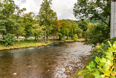 Scenic view of river against sky