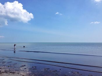 Scenic view of sea against sky