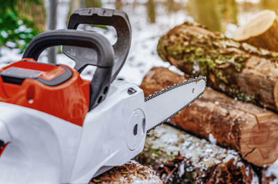 Lumberjack saws a tree with chainsaw in forest.