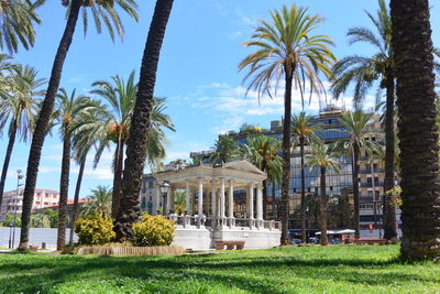 Palm trees in front of building