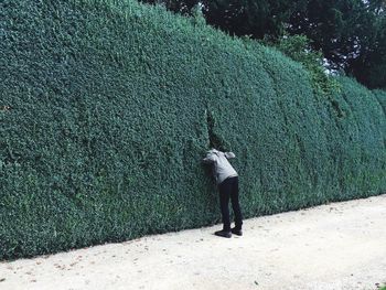 Rear view of man standing by plant wall 