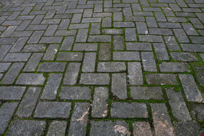 View of paving stone