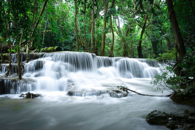 Scenic view of waterfall in forest